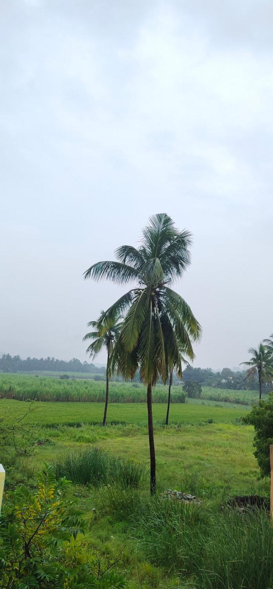 Raj Homestay 亨比 外观 照片